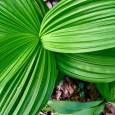 "Outset #1" by Kris Enos3 Digital Photo-C Prints FramedPrice: $150